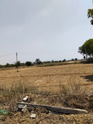  Plot For Sale in Naurangpur