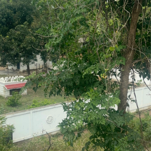  Plot – Exterior View View at Tadepalli - for Sale