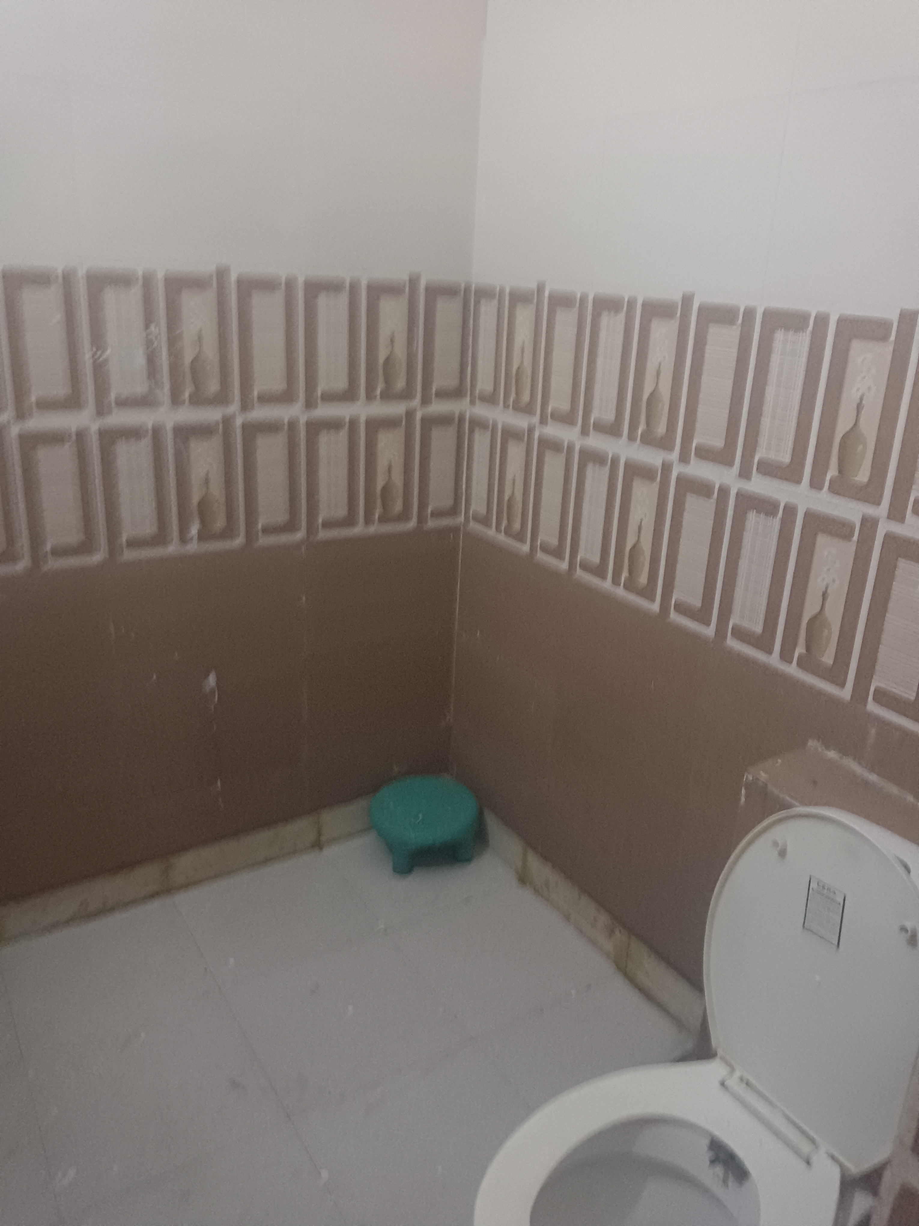 3 BHK + Pooja Room Builder Floor For Rent in Sector 9