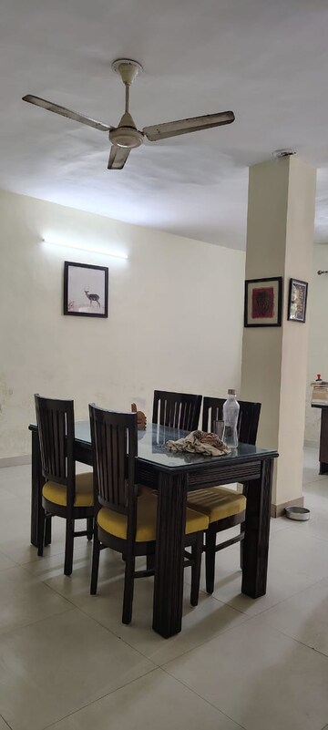 2 BHK Independent House For Rent in Sector 50