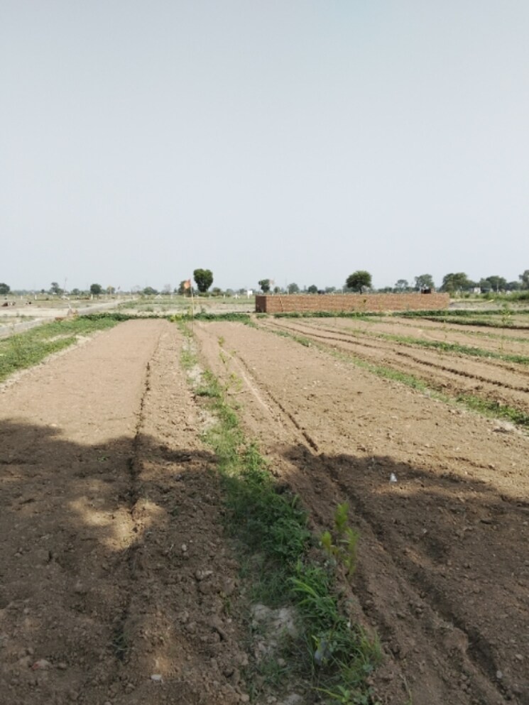 undefined, noida central  100 Sq.Yd. Plot In Noida Central Noida 8638625