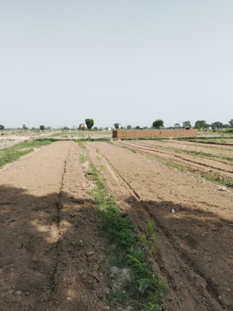 undefined, noida central  100 Sq.Yd. Plot In Noida Central Noida 8638625