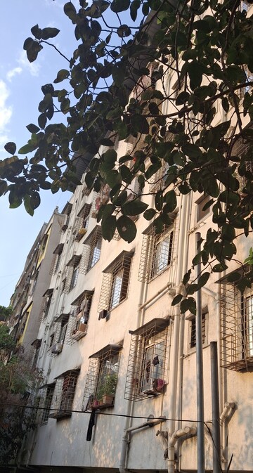 1 BHK Apartment For Rent in Ghansoli