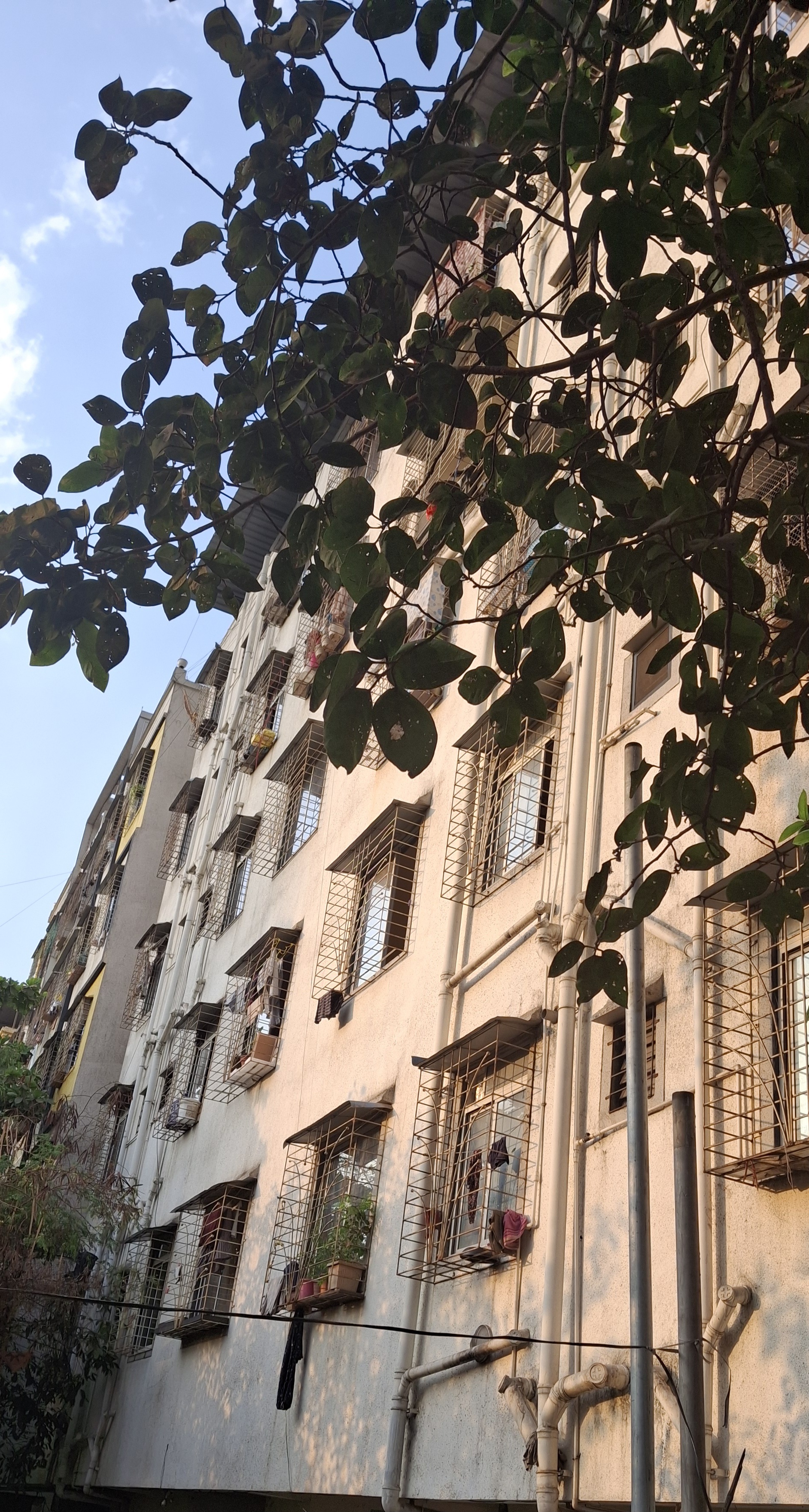 1 BHK Apartment For Rent in Amresh Property Ghansoli 