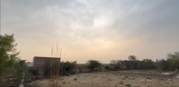 Plot Area in  Plot at Dera Mandi – for Sale