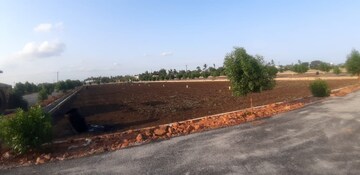  Plot For Sale in Kankipadu
