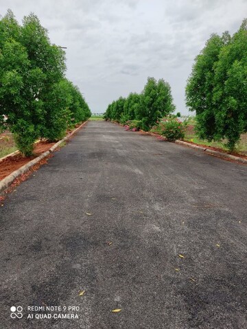 Plot – Exterior View View at Kankipadu - for Sale