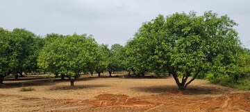  Land For Rent in Hinjewadi