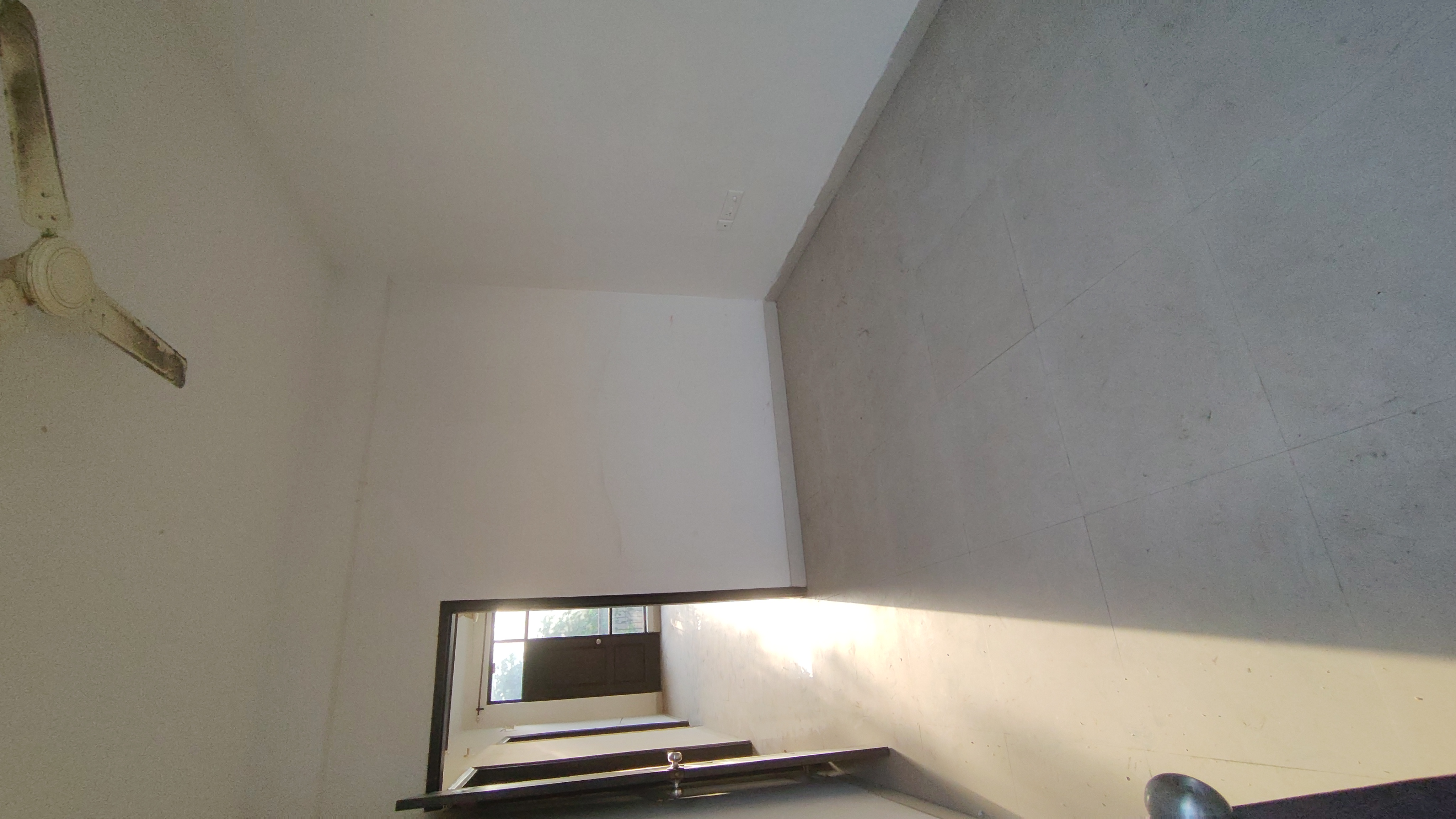 3 BHK 1640 Sq.Ft. Builder Floor in Omaxe Silver Birch