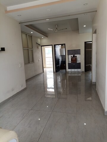 3 BHK Builder Floor For Rent in Sector 46