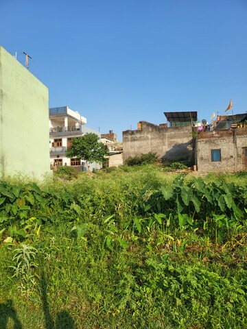  Plot For Sale in Pithuwala Kalan