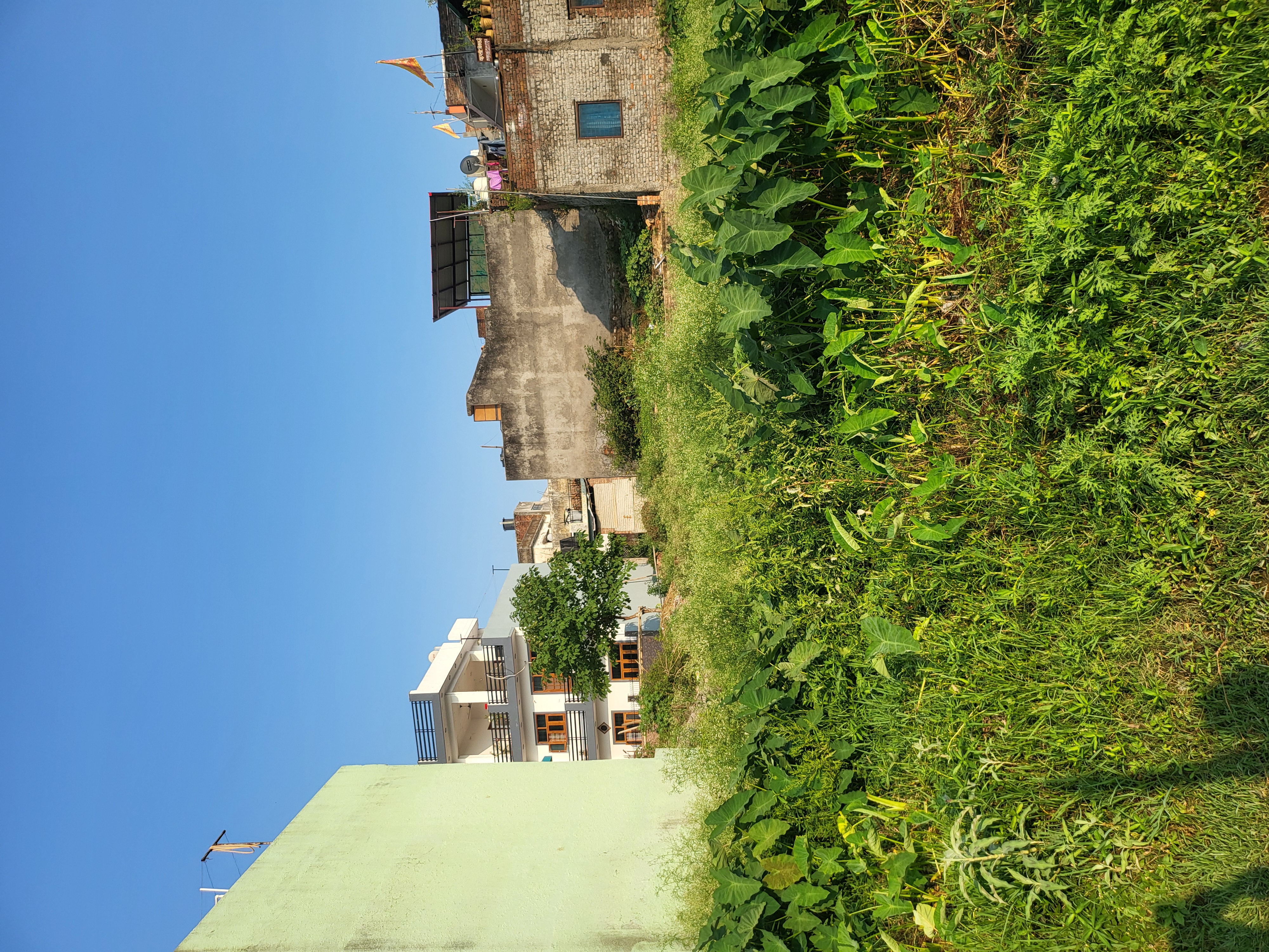 Plot For Sale in Plot For Sale 