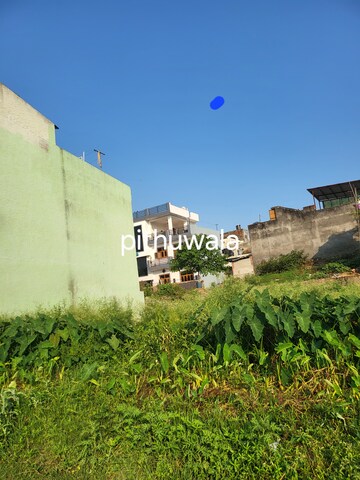  Plot – Exterior View View at Pithuwala Kalan - for Sale