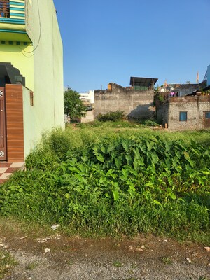  Plot – Exterior View View at Pithuwala Kalan - for Sale