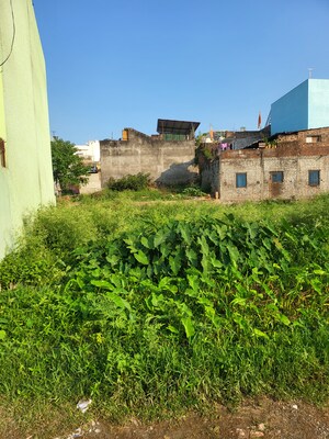  Plot – Exterior View View at Pithuwala Kalan - for Sale