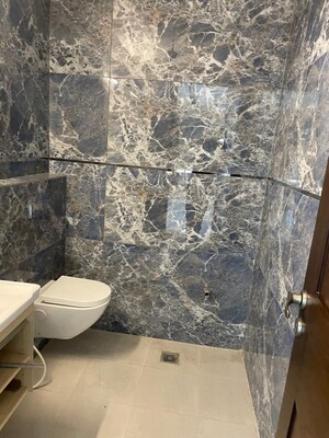 Bathroom in 6+ BHK Villa at Bhati Village – for Sale