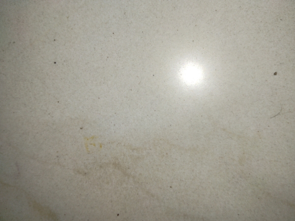 3 BHK + Study Room Apartment For Rent in Rajeswari Towers Khairtabad