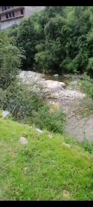 4 BHK Independent House For Sale in Mukteshwar