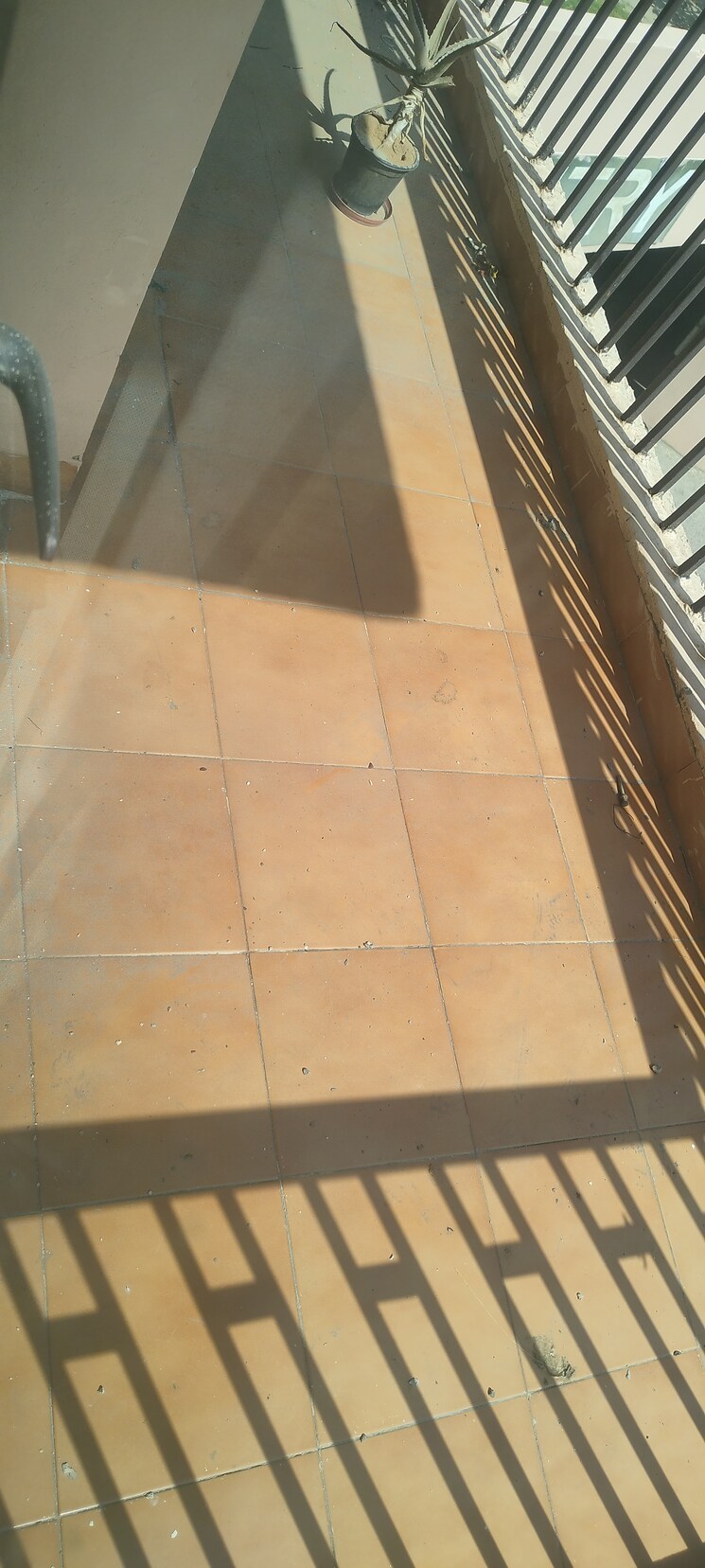 Kitchen, logix-blossom-county 3 Bedroom 1675 Sq.Ft. Apartment In Sector 137 Noida 8640520