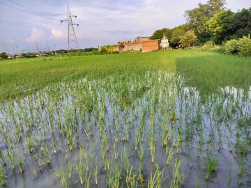  Land For Sale in Shirwal