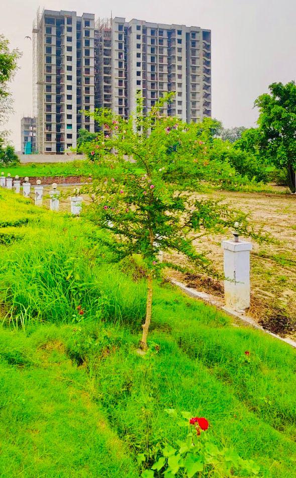 Plot For Sale in Wing Lucknow Greens Plots