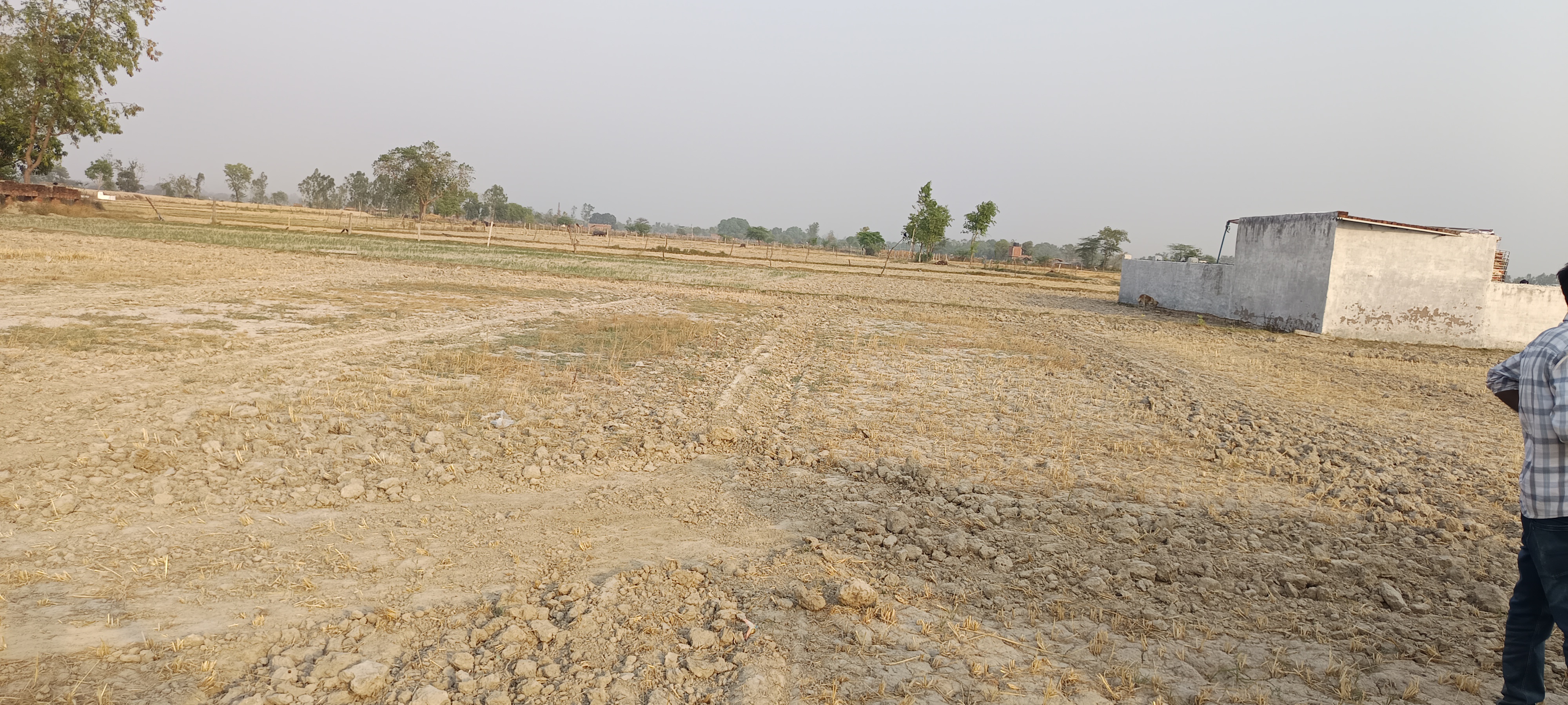 Plot For Sale in Plot Sale Deva Road