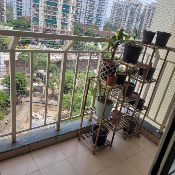 Gym, bptp-park-grandeura 2 Bedroom 873 Sq.Ft. Apartment In Sector 82 Faridabad 8642596