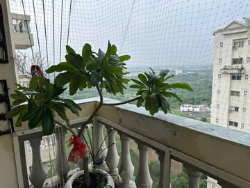 Balcony in 3.5 BHK Apartment at Nimbus The Hyde park, Sector 78 – for Sale