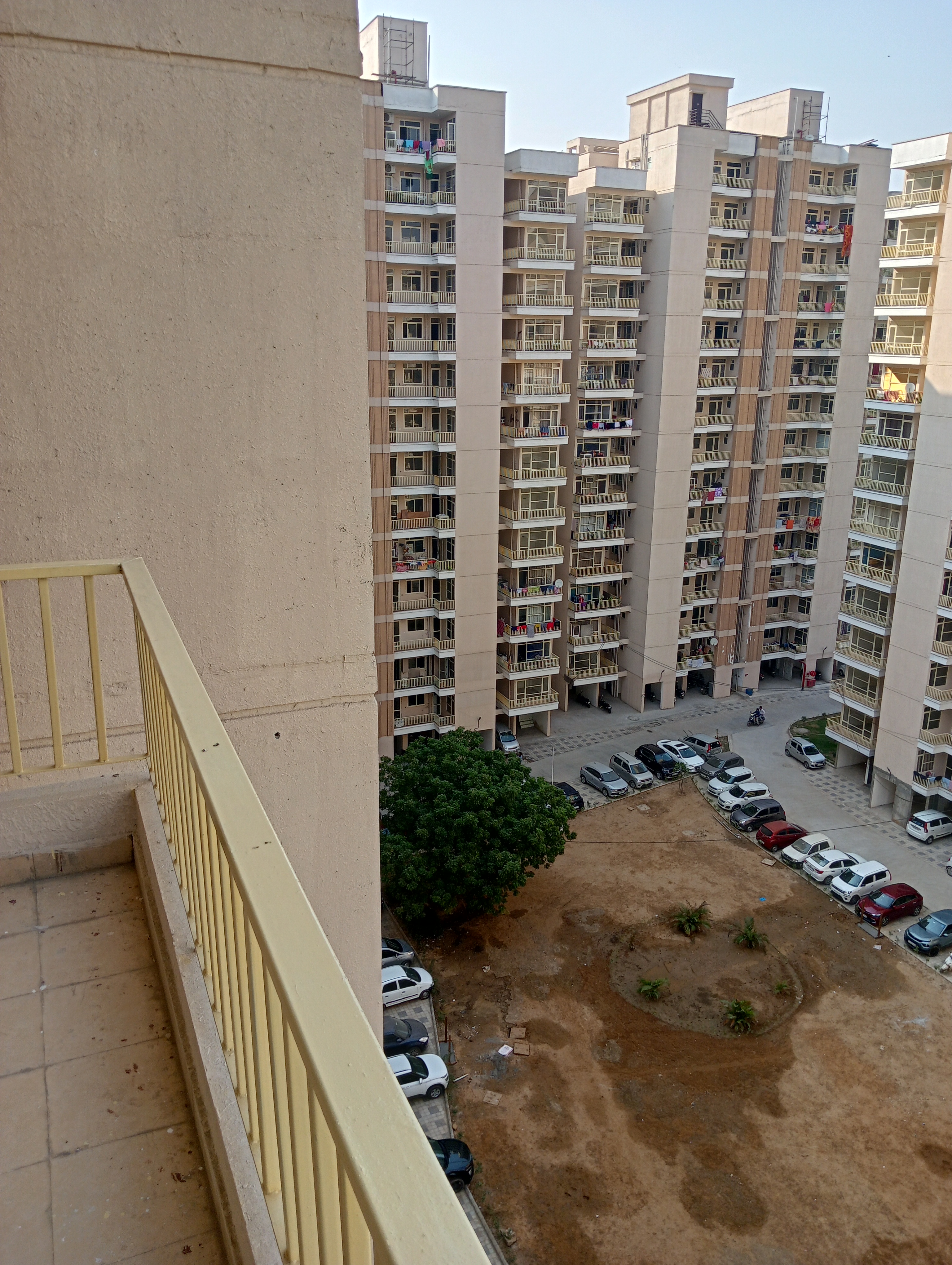 3 BHK Apartment For Rent in Terra Lavinium