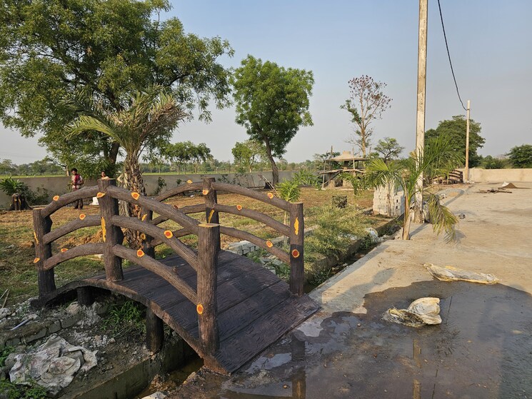 Exterior View, koni  1000 Sq.Ft. Plot In Koni Bilaspur 8642631