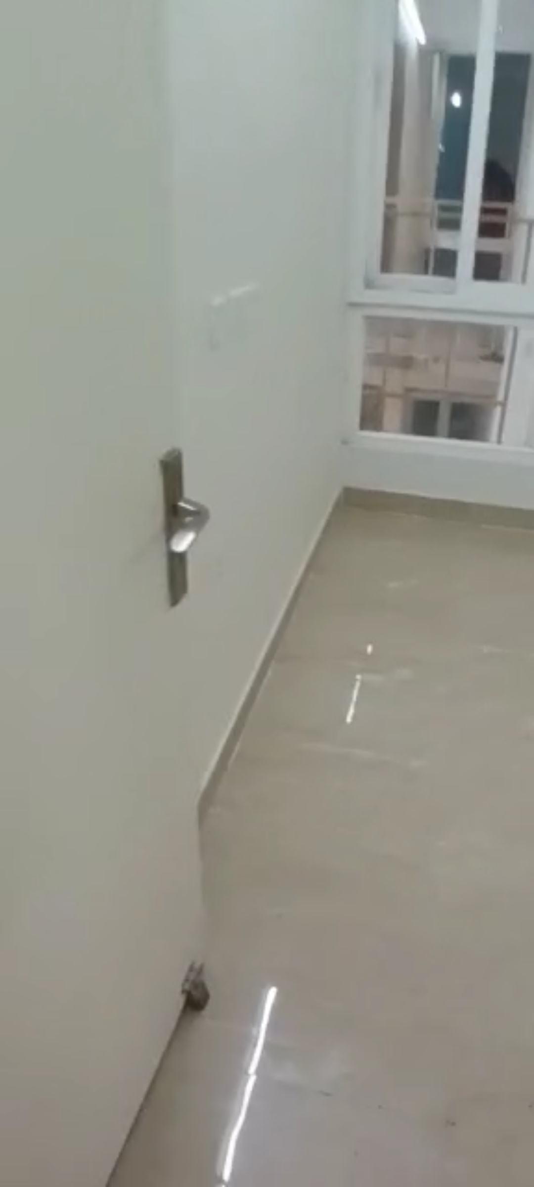 3 BHK Apartment For Rent in Gaur City 7th Avenue