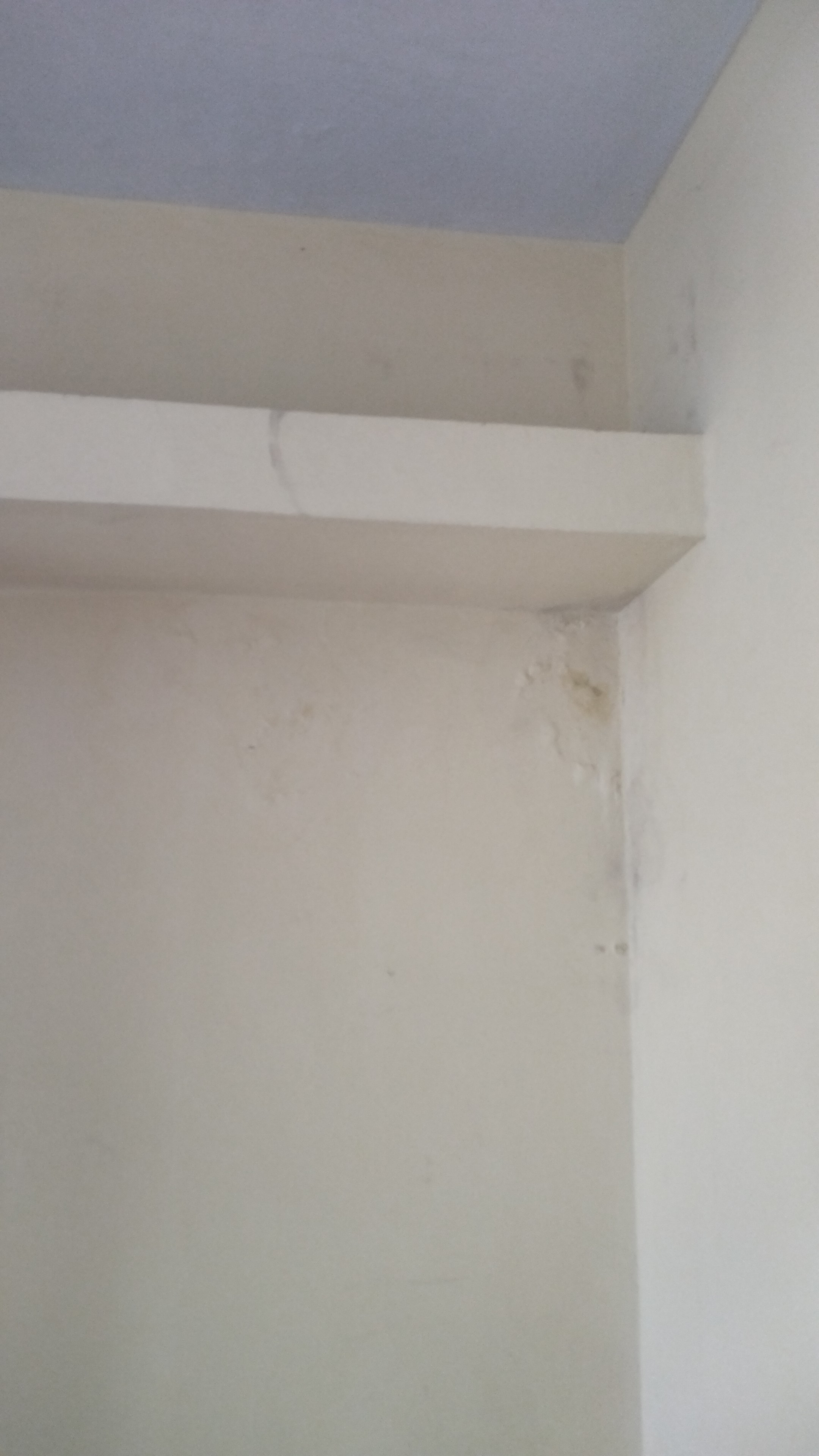 3 BHK Apartment For Rent in Kundan La Ventana