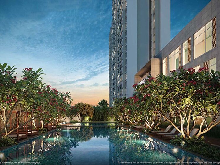 Swimming Pool, godrej-park-retreat 1 Bedroom 600 Sq.Ft. Apartment In Sarjapur Road Bangalore 8642842
