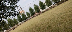  Plot – Garden View at Ringnodiya - for Sale