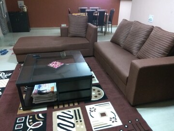 2 BHK Apartment For Rent in Signature Global City 92, Sector 92