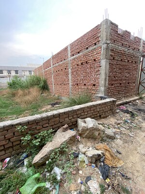 Plot Area in  Plot at Maruf Ganj – for Sale