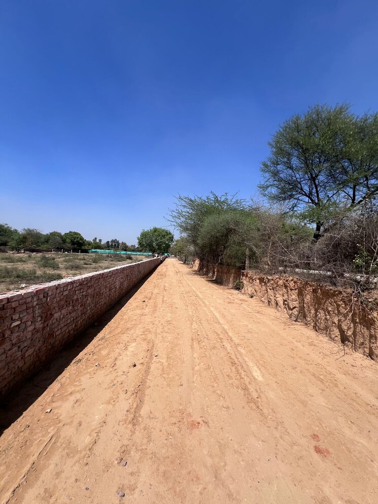 undefined, sector 42  240 Sq.Yd. Plot In Sector 42 Gurgaon 8643697