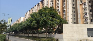 1 BHK Apartment For Rent in Wave Dream Homes, Wave City