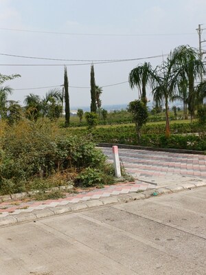  Plot – Exterior View View at Ringnodiya - for Sale