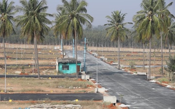 Plot For Sale in Doddagubbi
