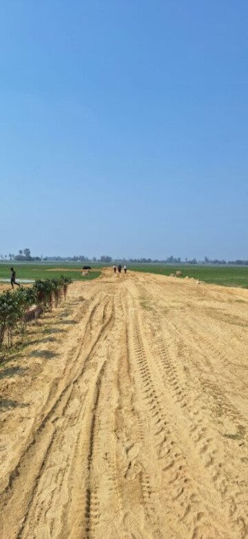 Plot Area in  Plot at Maniram – for Sale