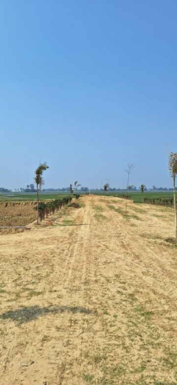  Plot For Sale in Maniram
