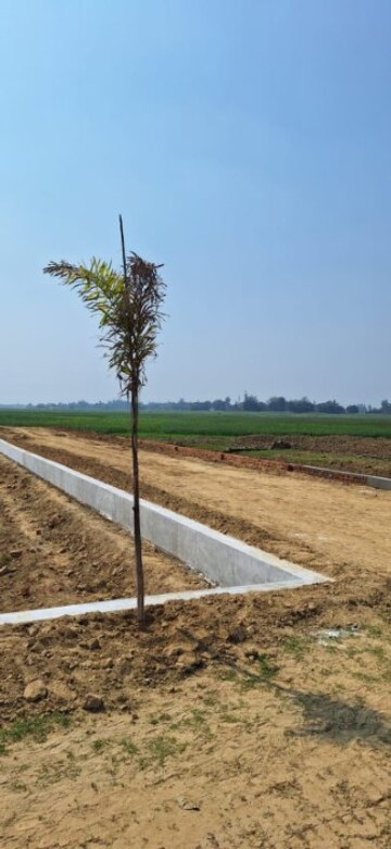 Plot Area in  Plot at Maniram – for Sale