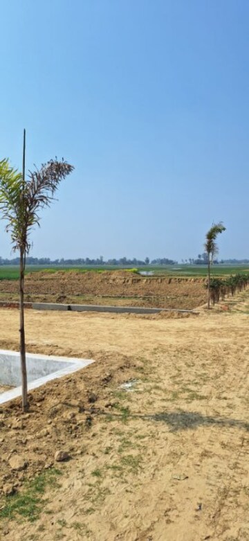 Plot Area in  Plot at Maniram – for Sale
