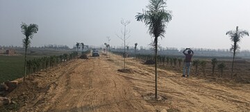 Plot Area in  Plot at Maniram – for Sale