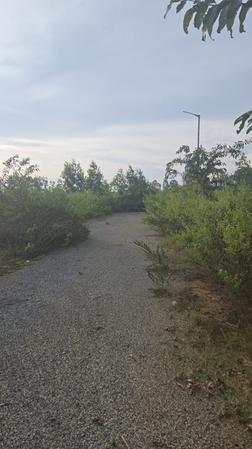  Plot For Sale in Brookefield