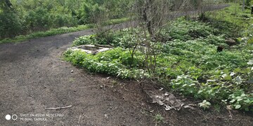  Plot For Sale in Sankhedi