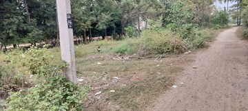  Plot For Sale in Pamarru