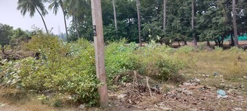Plot Area in  Plot at Pamarru – for Sale