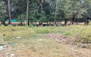 Plot For Sale in Nh 2
